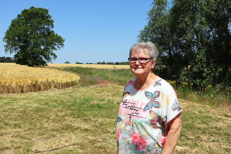 lächelnde ältere Frau vor einem Feld
