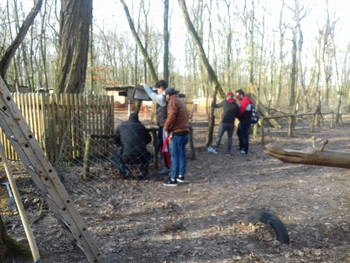 Zaunbau für die Schafe