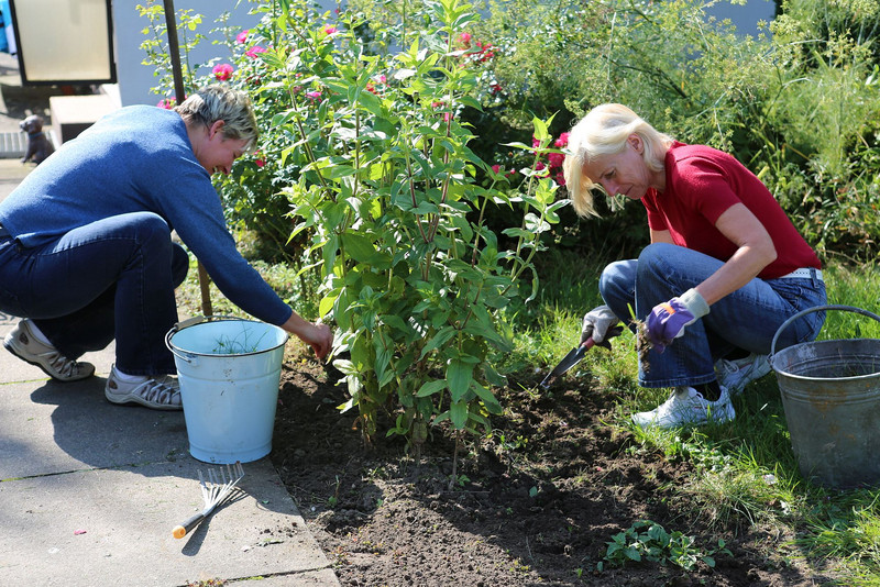 Zwei Freiwillige gärtnern im Garten Diesdorf