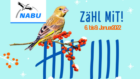 Stunde der Wintervögel 2022