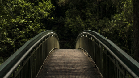 Brücke im Wald